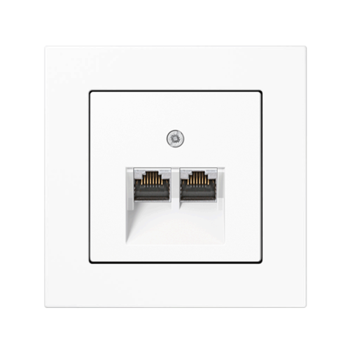 Комп'ютерна розетка 2-а Jung A550 білий