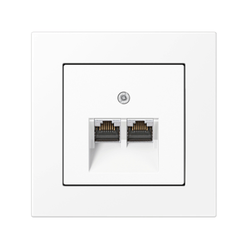 Компьютерная розетка 2-а Jung A550 белый матовый