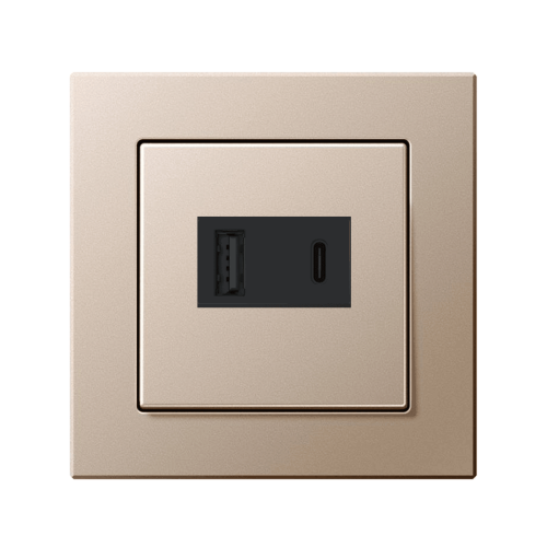 Розетка USB Jung A-Creation шампань