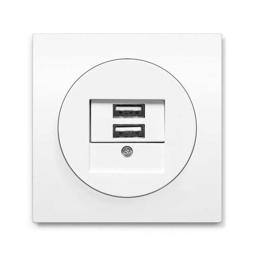 Розетка USB Berker R.3 полярна білизна