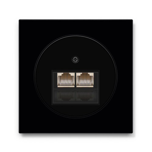 Компьютерная розетка 2-а Berker R.3 чёрный