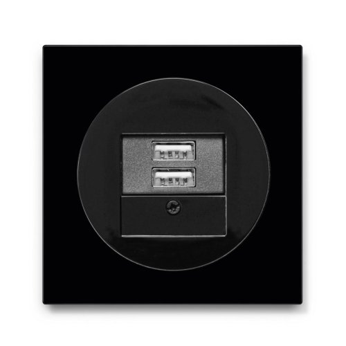 Розетка USB Berker R.3 чорний