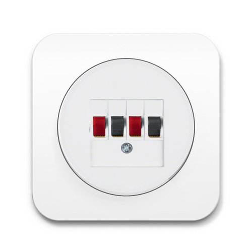 Аудио-розетка Berker R.1 полярная белизна