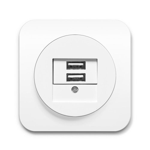 Розетка USB Berker R.1 полярная белизна