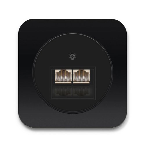 Комп'ютерна розетка 2-а Berker R.1 чорний