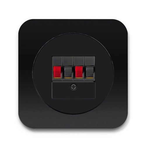 Аудио-розетка Berker R.1 чёрный