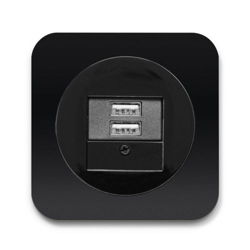 Розетка USB Berker R.1 чёрный