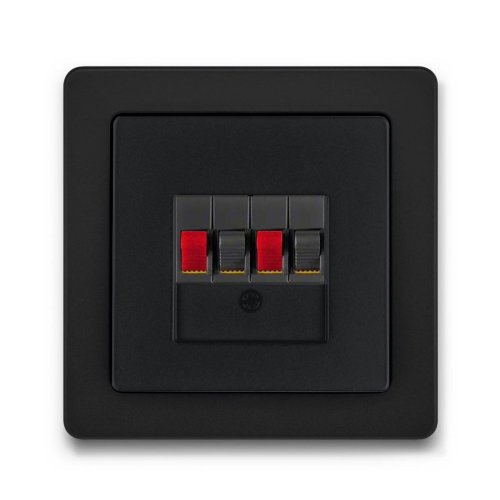 Аудио-розетка Berker Q.1 антрацит