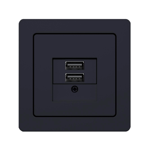 Розетка USB Berker Q.1 антрацит