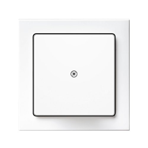 Виведення кабелю Berker Q.3 полярна білизна