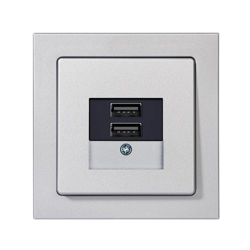 Розетка USB Berker Q.3 алюміній